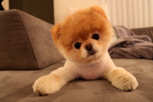 Pes Boo