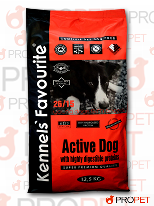 active-dog.jpg_product_product_product_product_product_product_product_product
