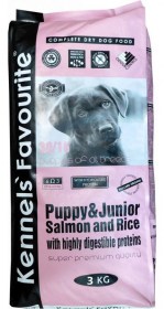 2478-3_kennels--favourite-puppy-junior-salmon-3