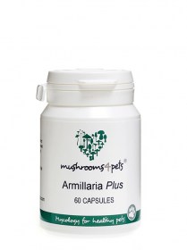 armillaria
